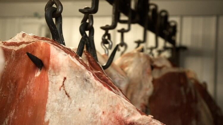 Gove urged to resolve ‘alarming rate’ of abattoir closures