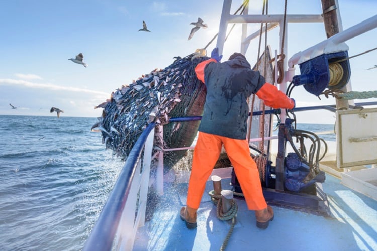 Post-Brexit reform: New report calls for fairer allocation of fishing quotas