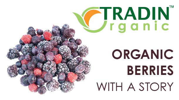 Organic Berries with a Story  