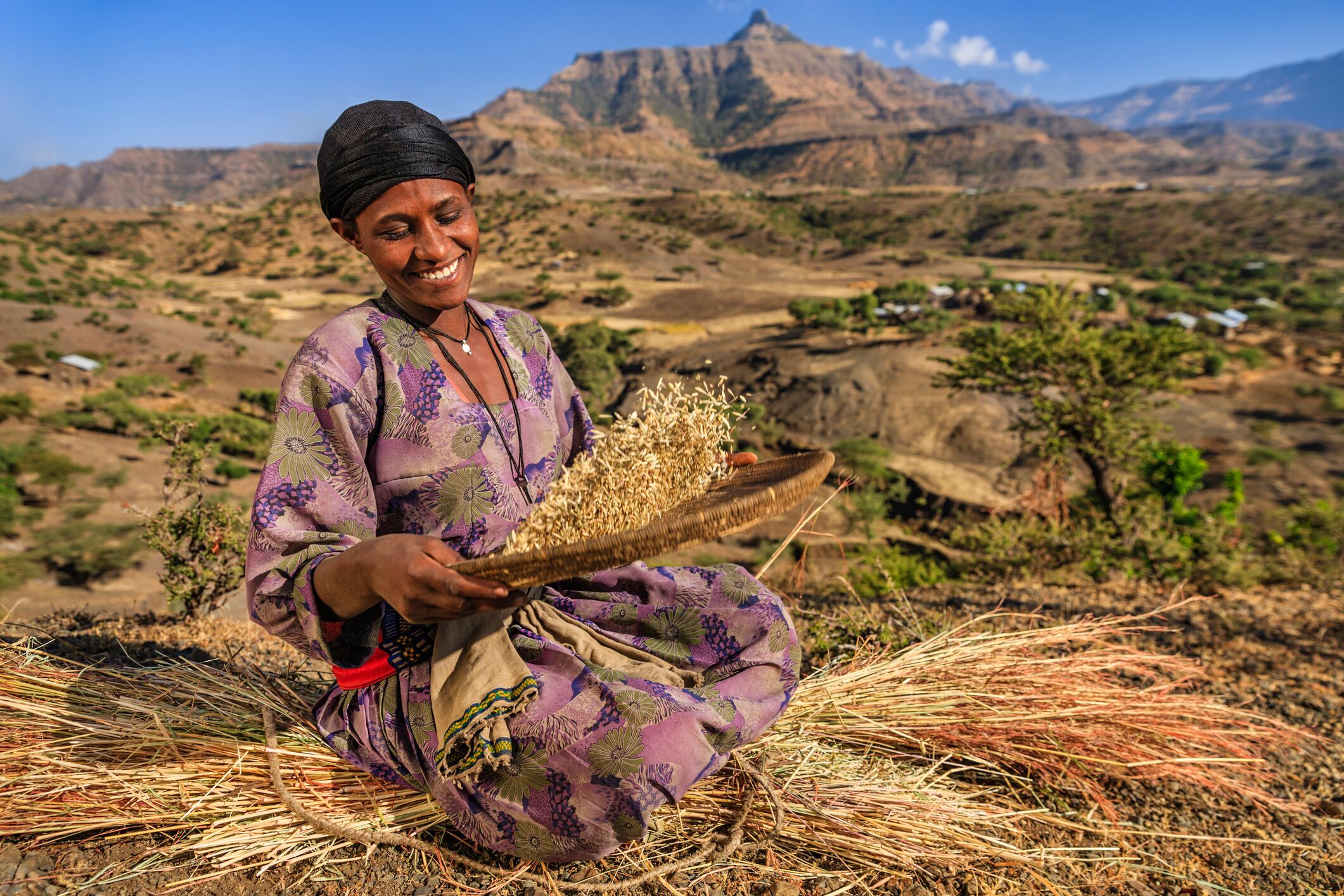 Young African woman is sifting the sorghum in the village near to Lalibela town, northern Ethiopia, Africa. Sorghum is used for food, fodder, and the production of alcoholic beverages. Sorghum is the fifth most important cereal crop grown in the world.