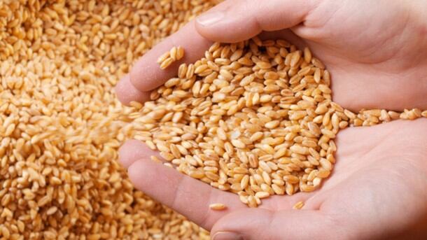 Saudi’s e-commerce trends: Preference for processed food dips as health demands soar