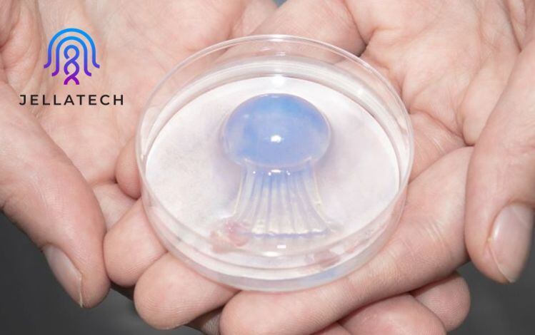 Jellatech-carves-novel-path-in-alt-protein-market-with-animal-free-cell-based-collagen-gelatin.jpg