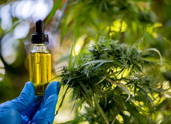 FDA-report-details-poor-quality-control-undisclosed-THC-in-many-CBD-products.jpg