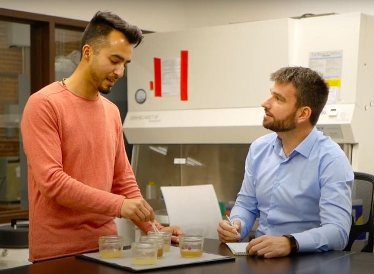 Real-honey-without-bees-Berkeley-based-startup-MeliBio-gears-up-for-launch-in-late-2021.jpg