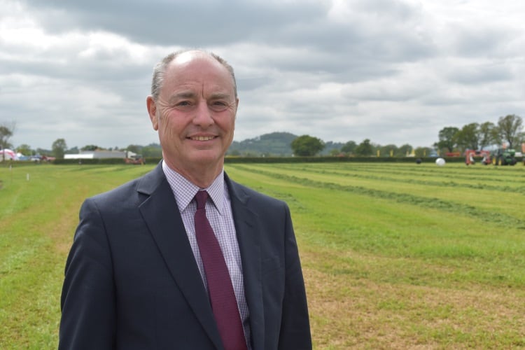 Welsh lamb farmers warned of Brexit price drop