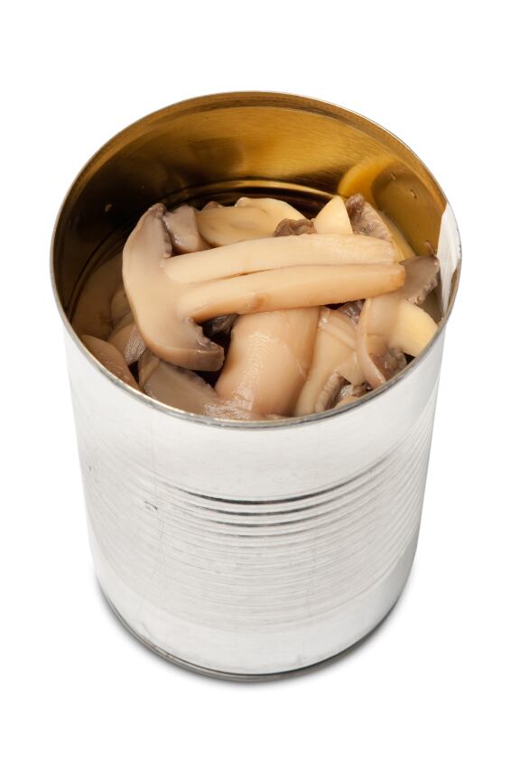 mushrooms.jpg