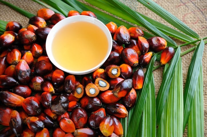 Palm oil traceability: Musim Mas cites mill success but acknowledges smallholder plantation challenges