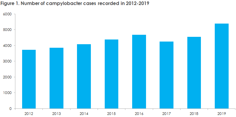 Incidents-of-Campylobacter-in-Denmark.png