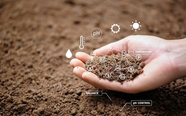 Healthy-soil-Khanchit-Khirisutchalual.jpg