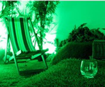 grassy.png