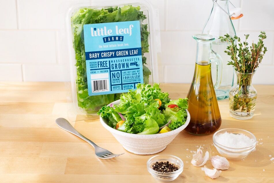Little-Leaf-Farms-expands-hydroponic-greens-distribution-across-East-Coast.jpg
