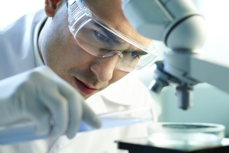 Lab meat can “radically” transform the world economy