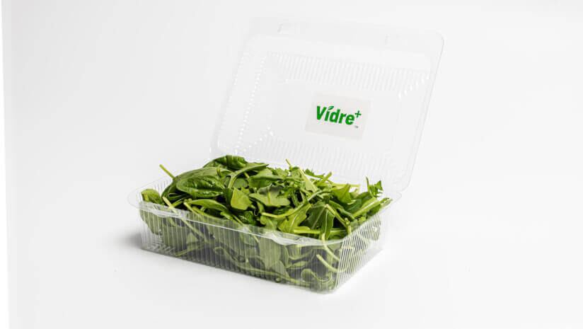 Fresh Inset’s packaging technology aims to reduce food waste, improve produce longevity on shelves