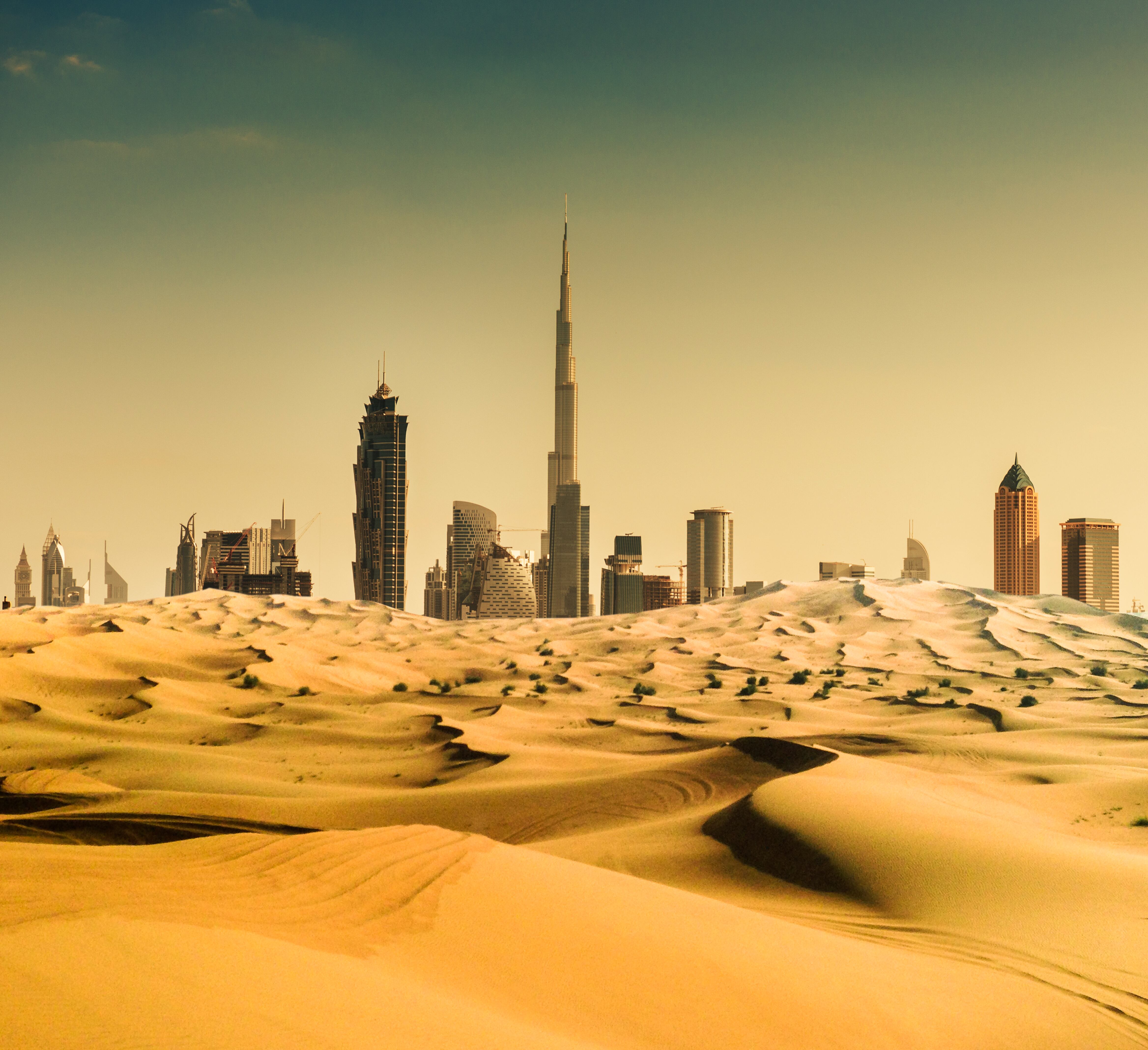 Estonia’s Middle East playbook: Key insights for food exporters to the Gulf