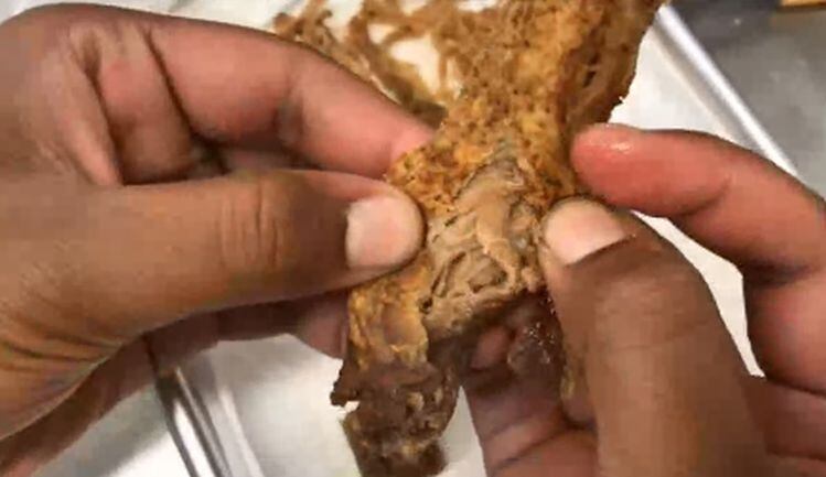 Boston Meats:  Creating whole muscle textures in meat alternatives
