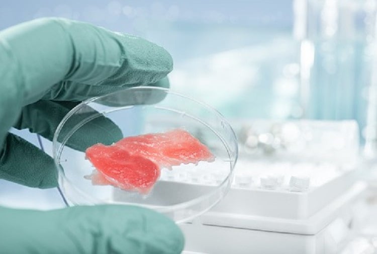 AHDB examines factors driving the plant-based meat trend