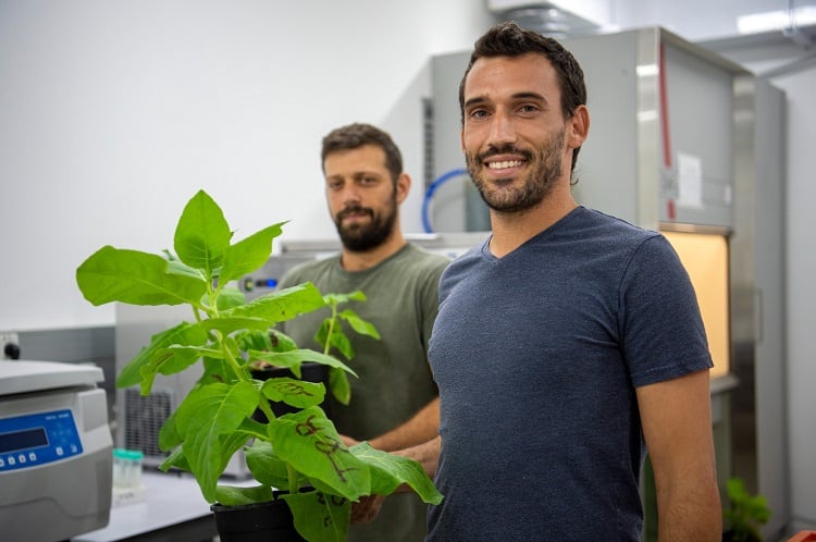 Pigmentum to ramp up casein production in plants with new investment