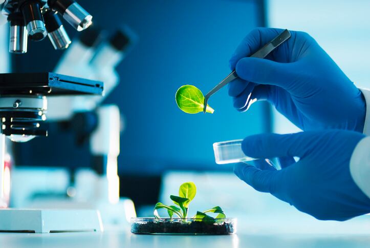 Gene editing wars: Experts warn FSA is misleading public 