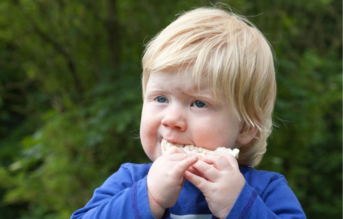 Arsenic-snack-shock-RMIT-study-finds-almost-75-of-children-rice-snacks-exceed-EU-recommendations.jpg