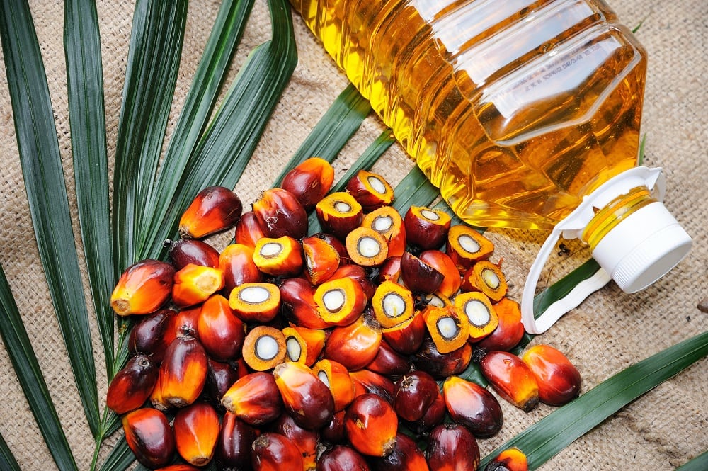 Oleopalma-first-RSPO-certified-company-in-Mexico.jpg