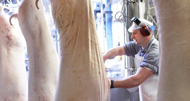Danish Crown closes Southern Jutland slaughterhouse