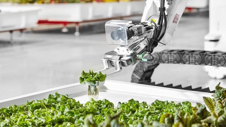 Robot-powered-indoor-farming-startup-Iron-Ox-raises-53m-gears-up-to-open-535-000sq-ft-facility-in-Texas-later-this-year.jpg