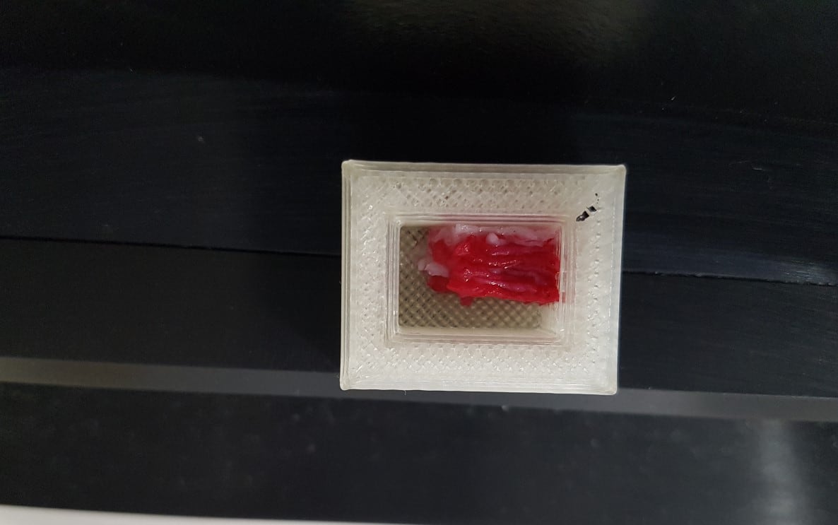 $900 for 1.5cm 3D-printed steak: Scientists construct wagyu-like structure using bioprinting tech