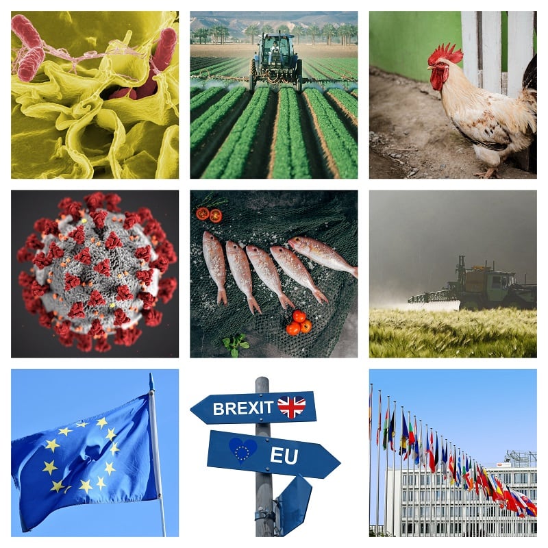 Brussels Bulletin: EU mobilises 'all means at our disposal' to tackle COVID-19  