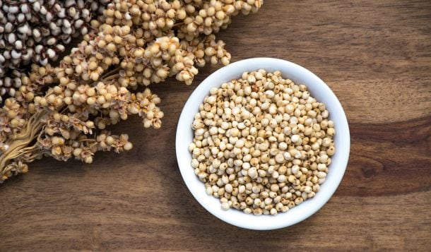 WholeGrain-sorghum.jpg