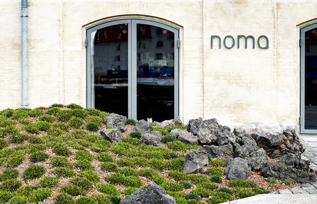 noma.jpg