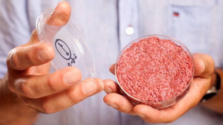 FDA, USDA, to share regulatory oversight of cell-cultured meat, poultry: 'It has seemed clear for months that shared jurisdiction was inevitable,' says attorney