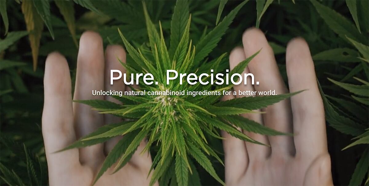 Socati-offers-CBD-brands-a-one-stop-shop-for-high-end-customized-products.jpg