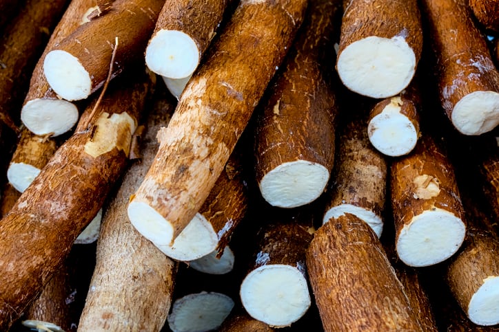 'This is not tapioca!': Whole cassava root flour is ideal for gluten-free baking, says Zaya Flour