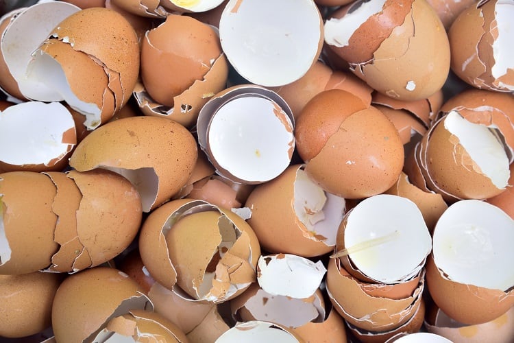 Chicken eggshell membrane upcycled for bakery: ‘Eggbrane alleviates joint stiffness and pain’
