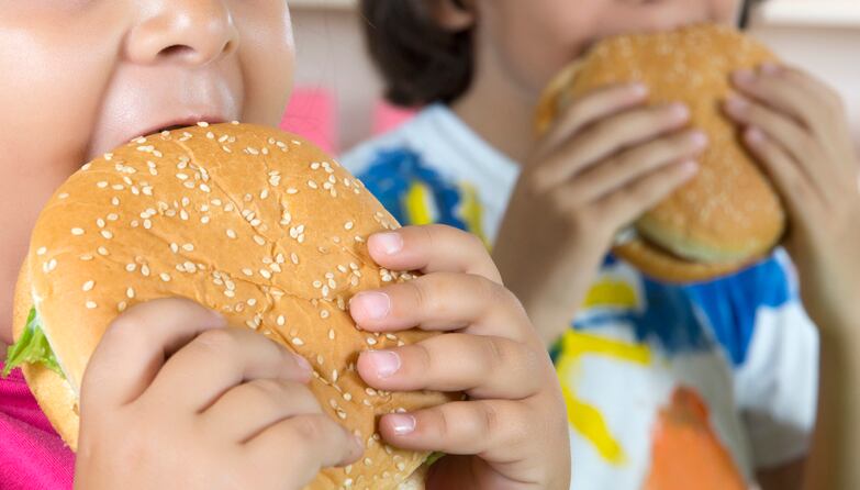 Iran school food scandal: More than half of products do not comply with national and regional standards