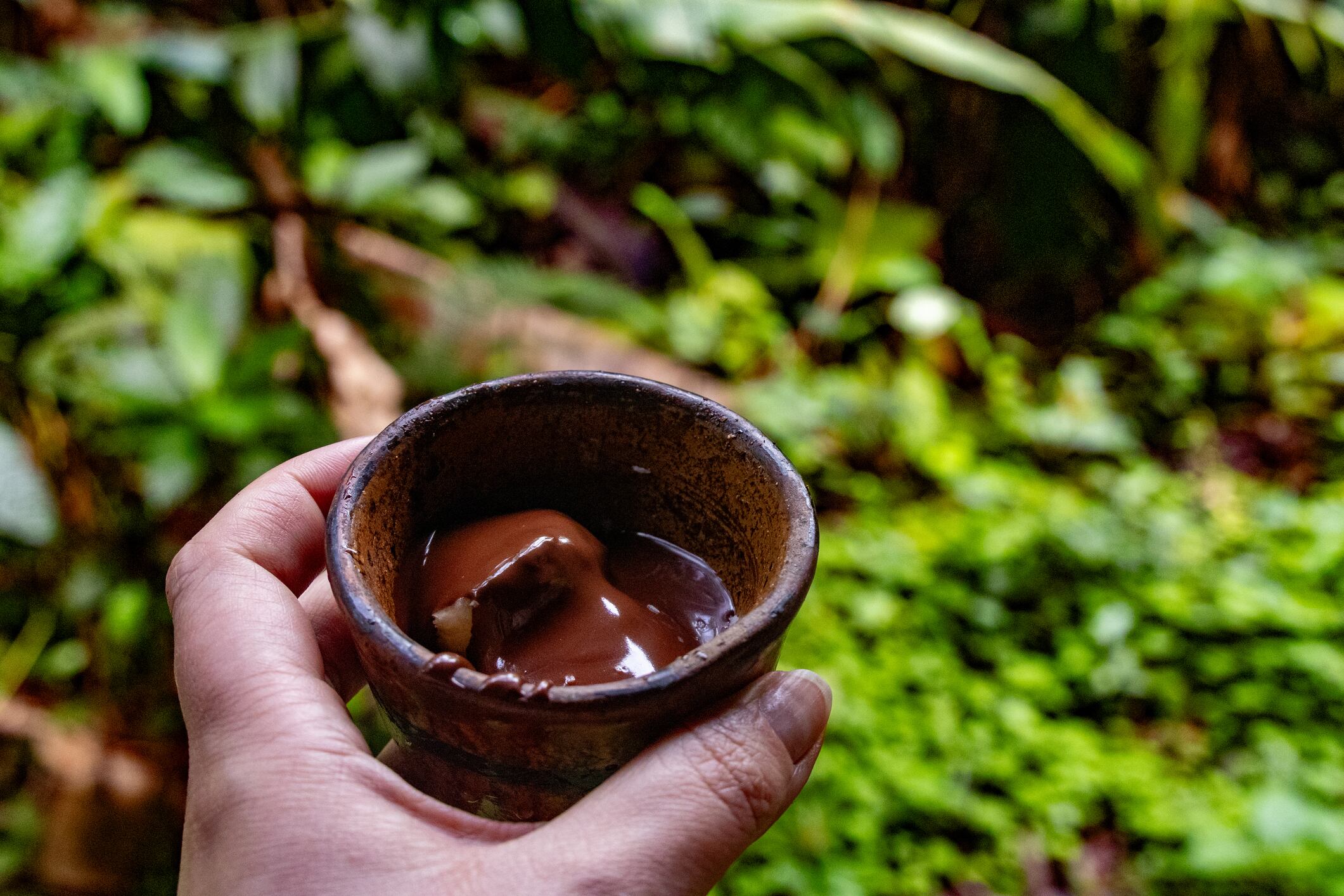 A hand holds a small, rustic ceramic cup filled with a rich, dark brown liquid, likely a traditional cacao drink or freshly melted chocolate, set against a lush green, out-of-focus tropical background. This image beautifully represents the cultural experience of tasting local produce, a significant part of the culinary and agricultural heritage in regions like Costa Rica. It evokes warmth, tradition, and the delicious end product of cacao cultivation.