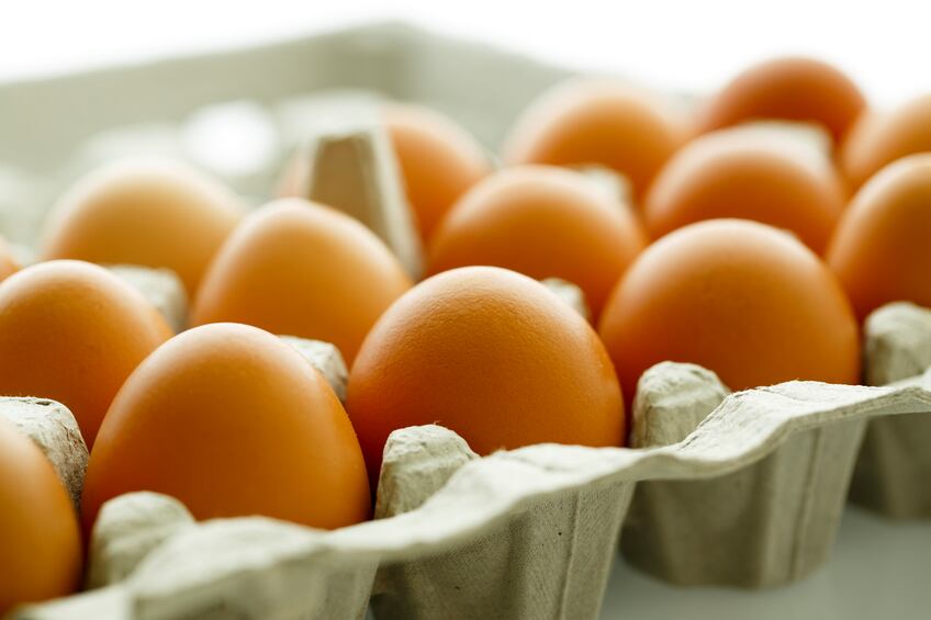 Cholesterol in eggs linked to cardiac disease: study