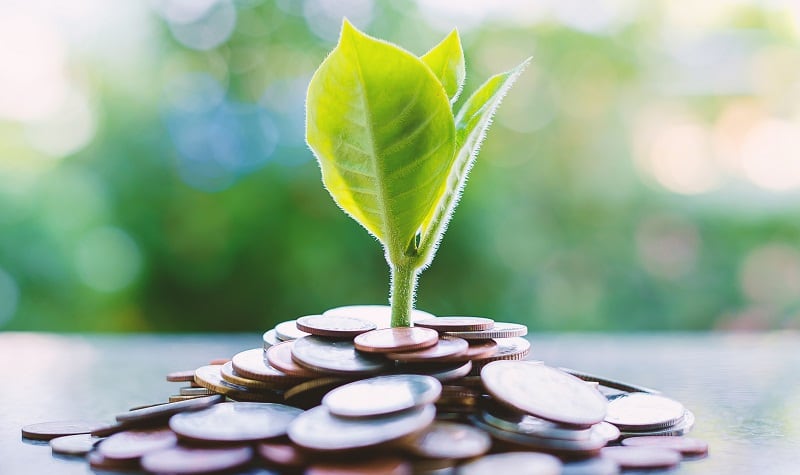 Will VC funding return to alt protein in 2025?