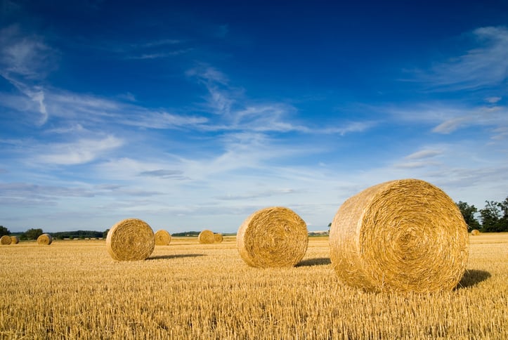 ‘The Cadillac of fibers…’ Upcycled ingredients startup Comet Bio gears up for commercial launch of arabinoxylan prebiotic fiber