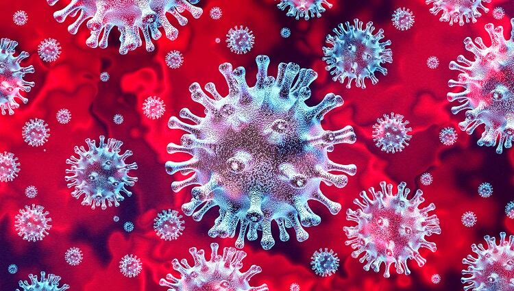 coronavirus-wildpixel.jpg