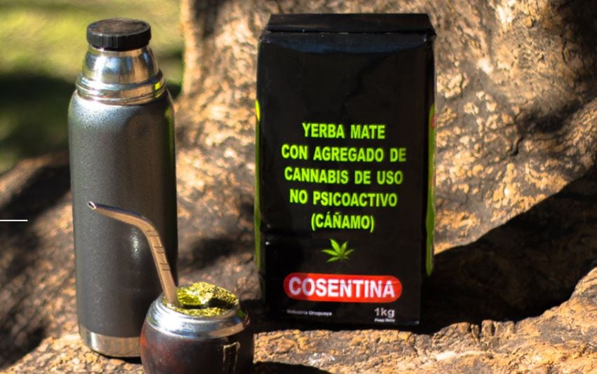 CBD-yerba-mate-from-Uruguay-adds-calm-to-caffeine.jpg