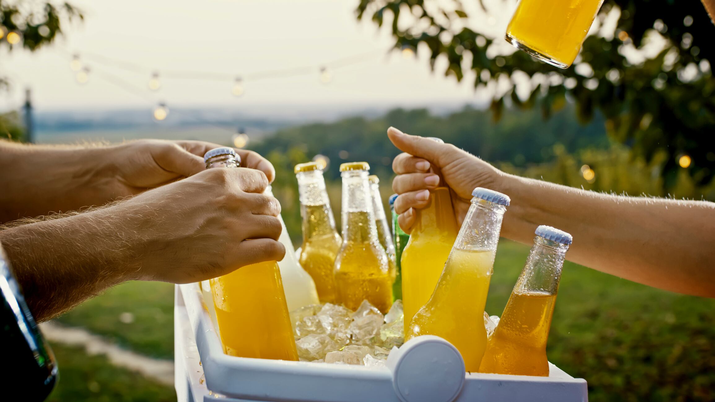Hands holding frosty soda and beer bottles in an ice bucket outdoors. A sunset backdrop, fairy lights, and greenery create an inviting atmosphere.
