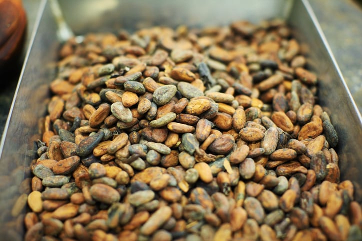‘I want Live Better to become a unicorn’: Is Chokkino the ‘new coffee’?