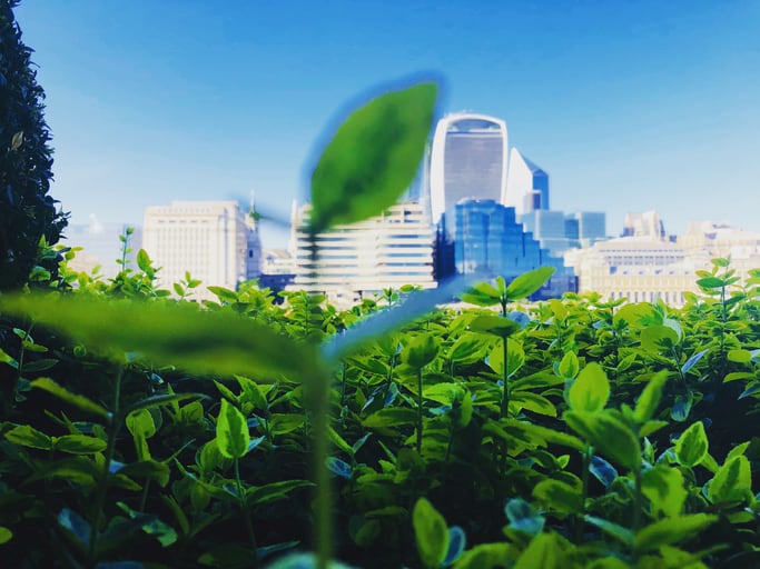 Why food brands have a golden opportunity to be stewards of the environment