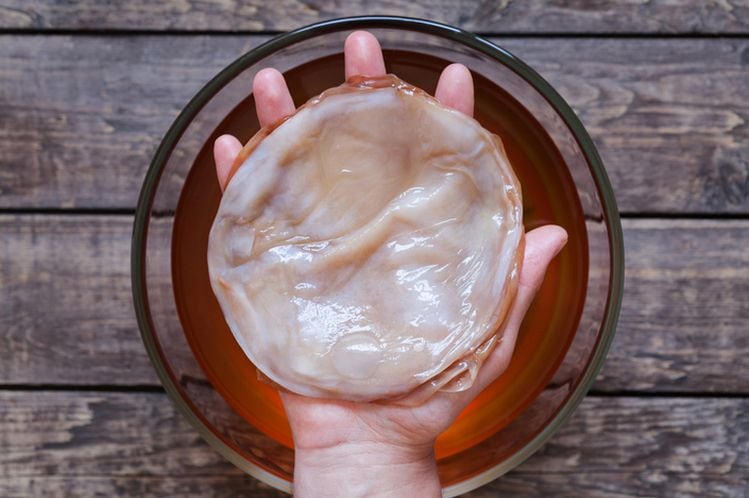 What-is-an-authentic-kombucha-KBI-gears-up-to-publish-definition.jpg