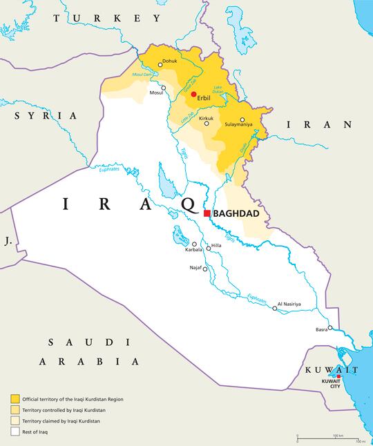 Growing demand for meat and dairy products in Iraq, lower Southeast Asian feed consumption