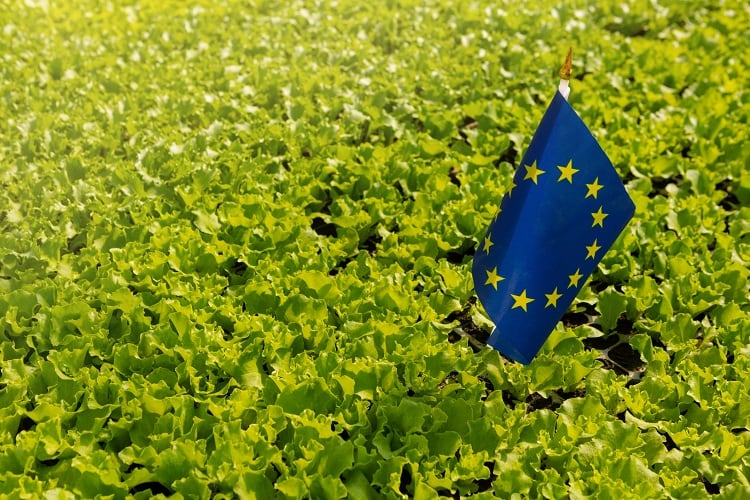 Is the EU stepping away from commitments to sustainable food systems and animal welfare? 