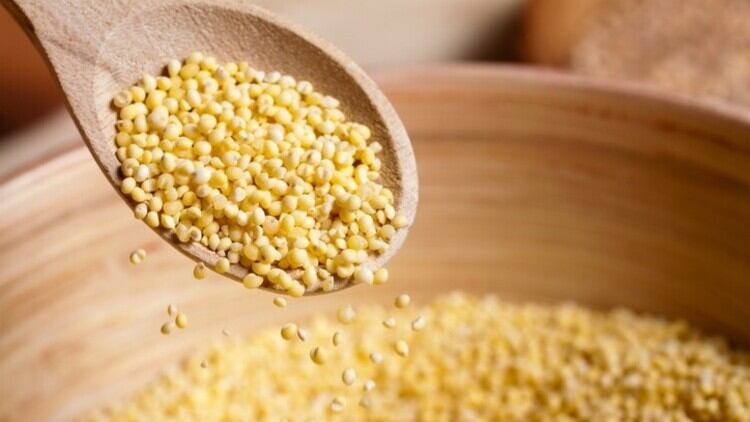 Millet consumption reduces cholesterol, cuts risk of hyperlipidaemia and obesity – Study