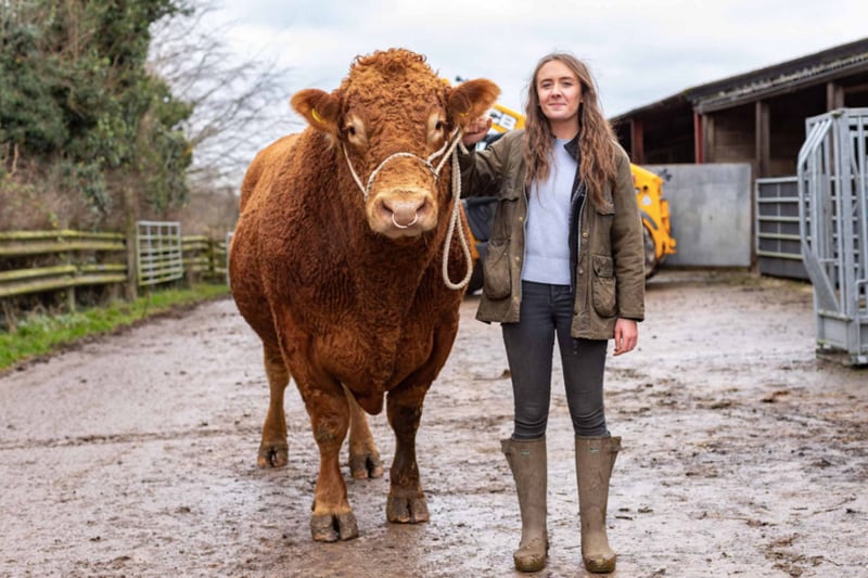 Digitising-the-beef-sector-to-reduce-emissions.png