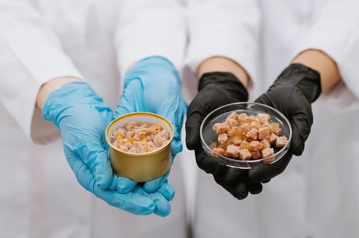 Cultured-meat-from-Bene-Meat-for-cats-and-dogs.jpg